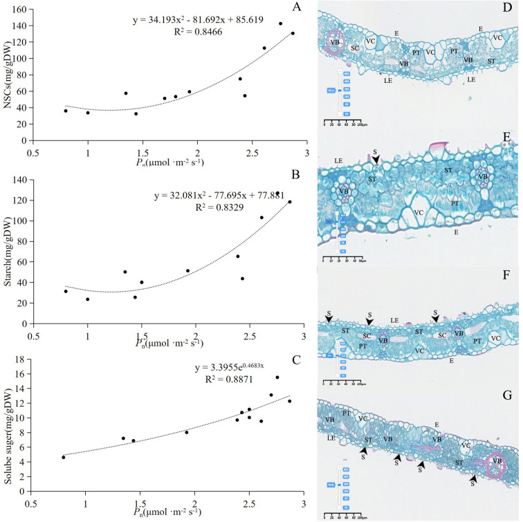 Figure 7