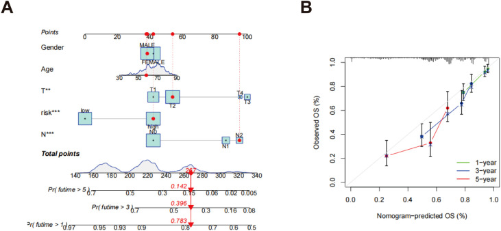 Figure 7