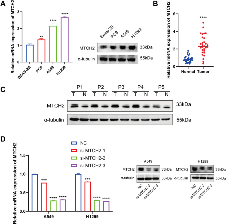 Figure 13