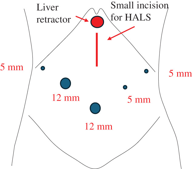 Fig. 3