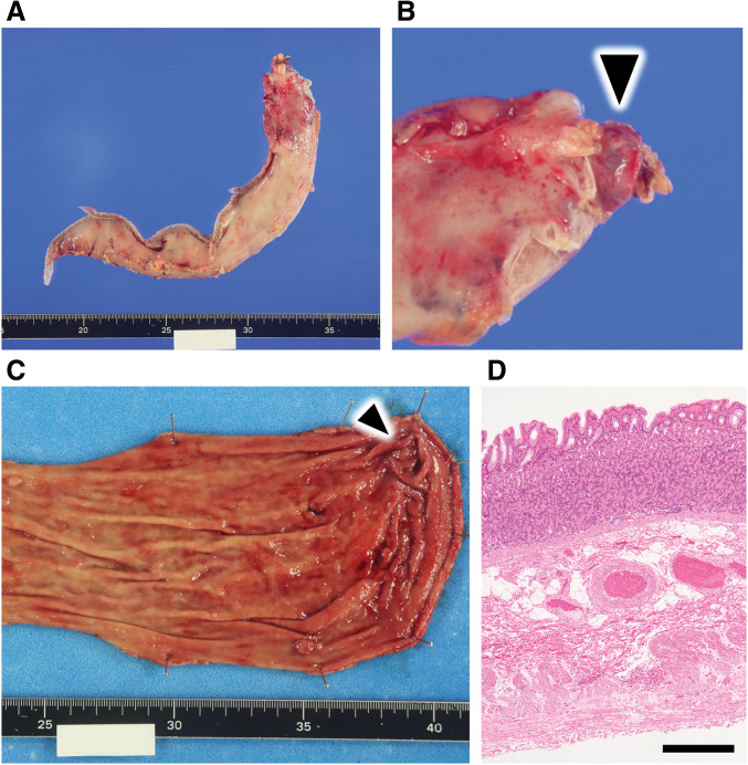 Fig. 4