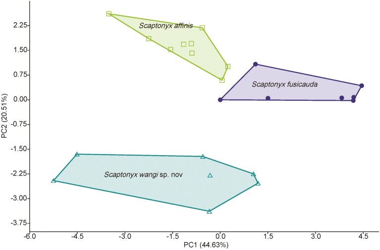 Fig. 6