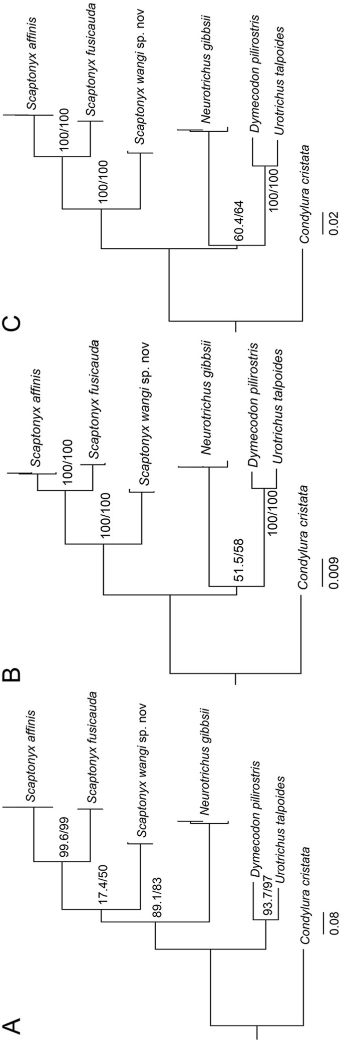 Fig. 7