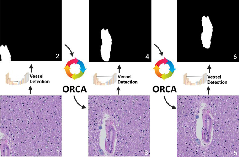 Figure 3: Object of interest Recursive Centering Algorithm
(ORCA)
