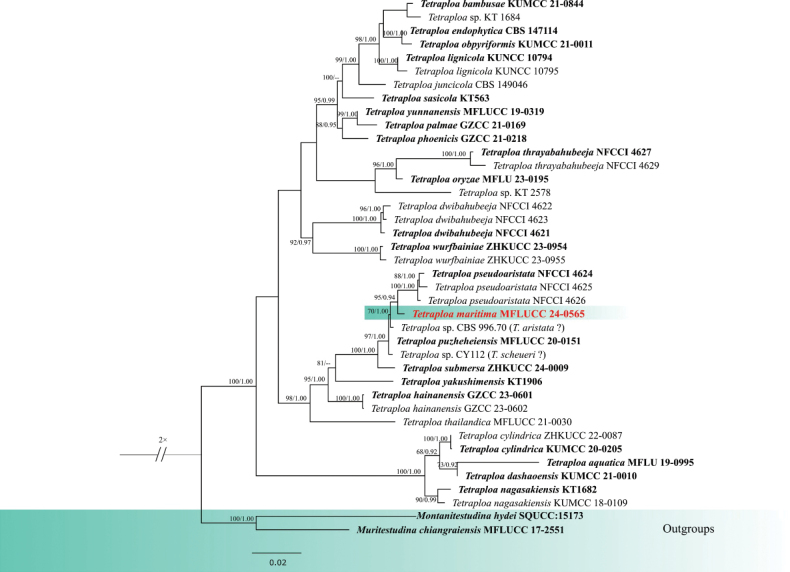 Figure 1