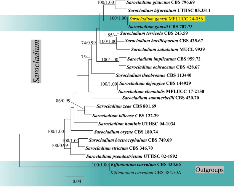 Figure 4