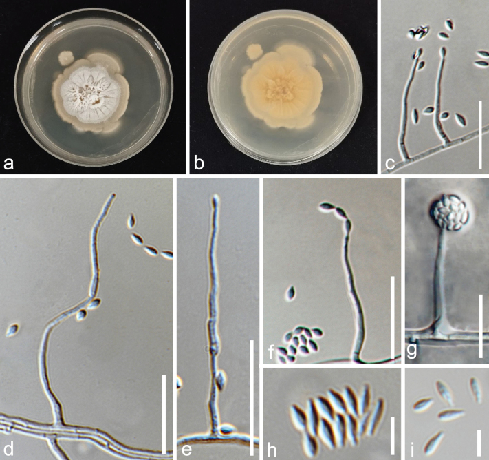 Figure 10