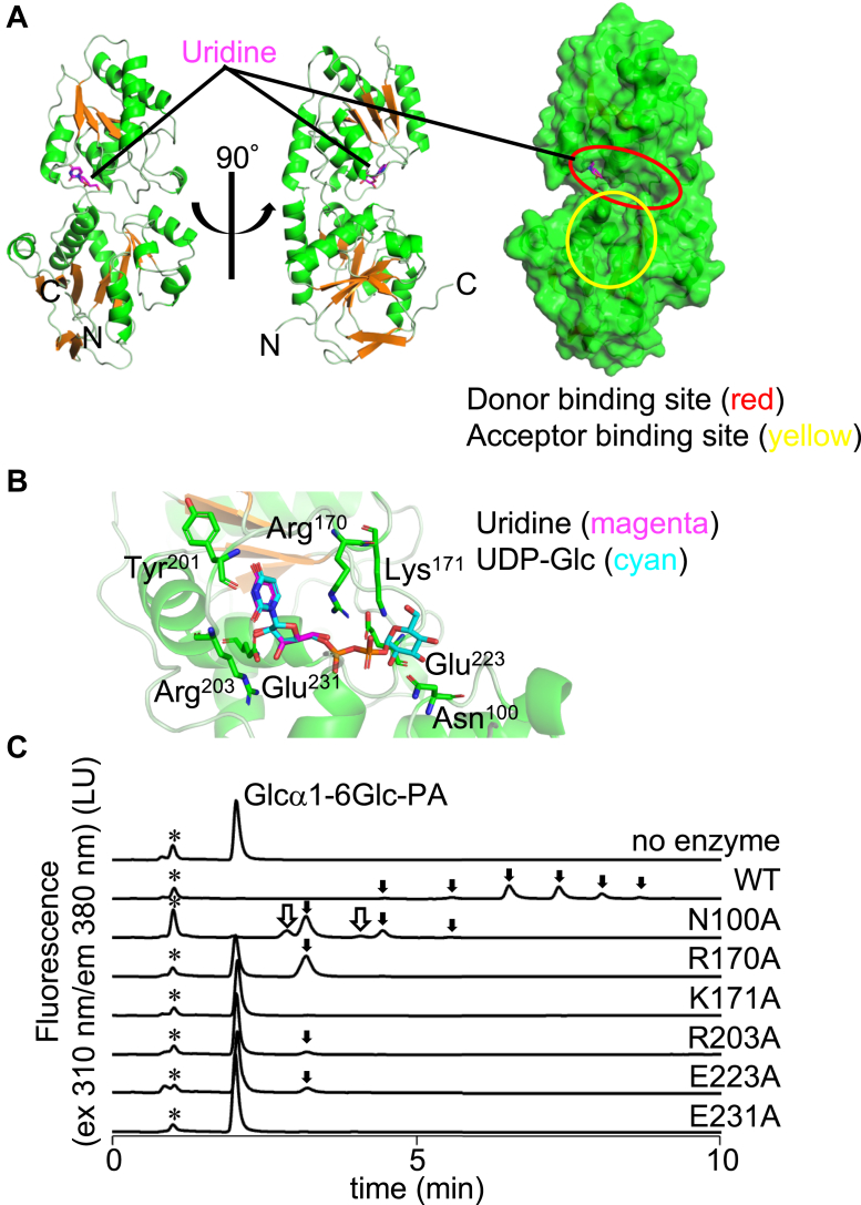 Figure 5