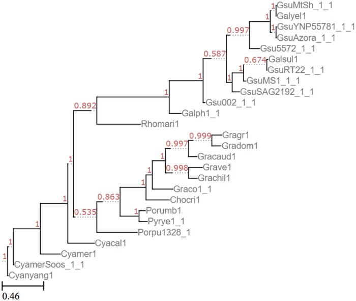 Figure 5