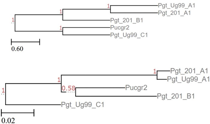 Figure 8