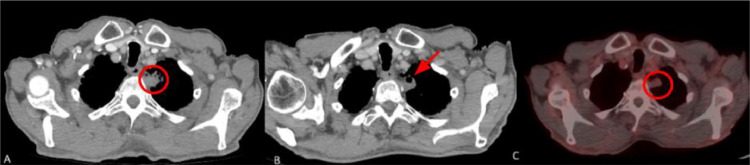 Figure 7