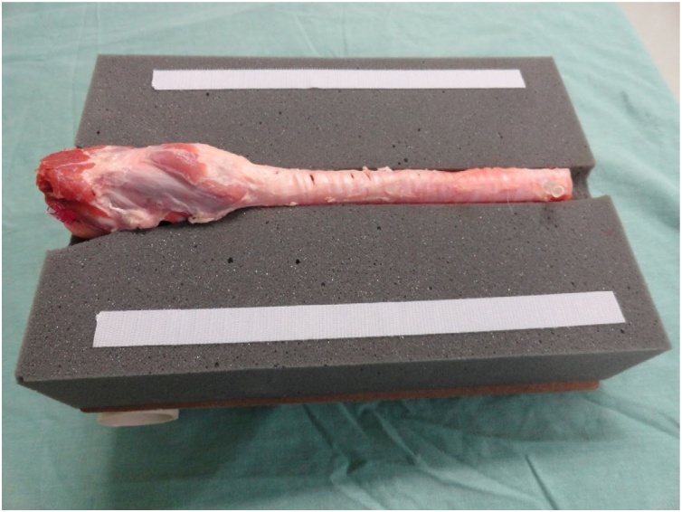 Figure 15