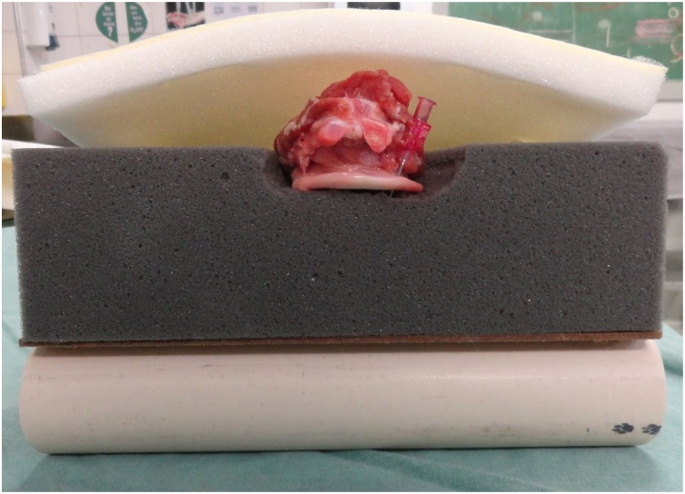 Figure 18