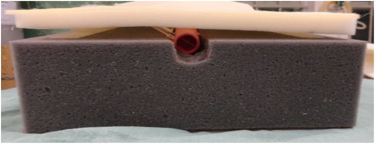 Figure 19