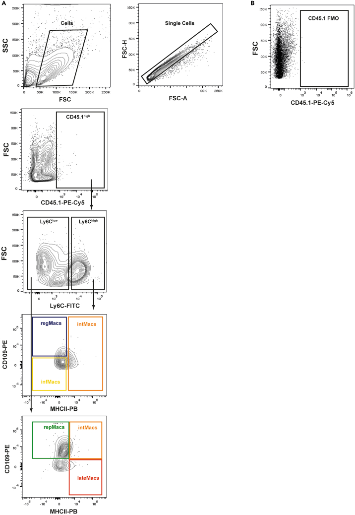Figure 6
