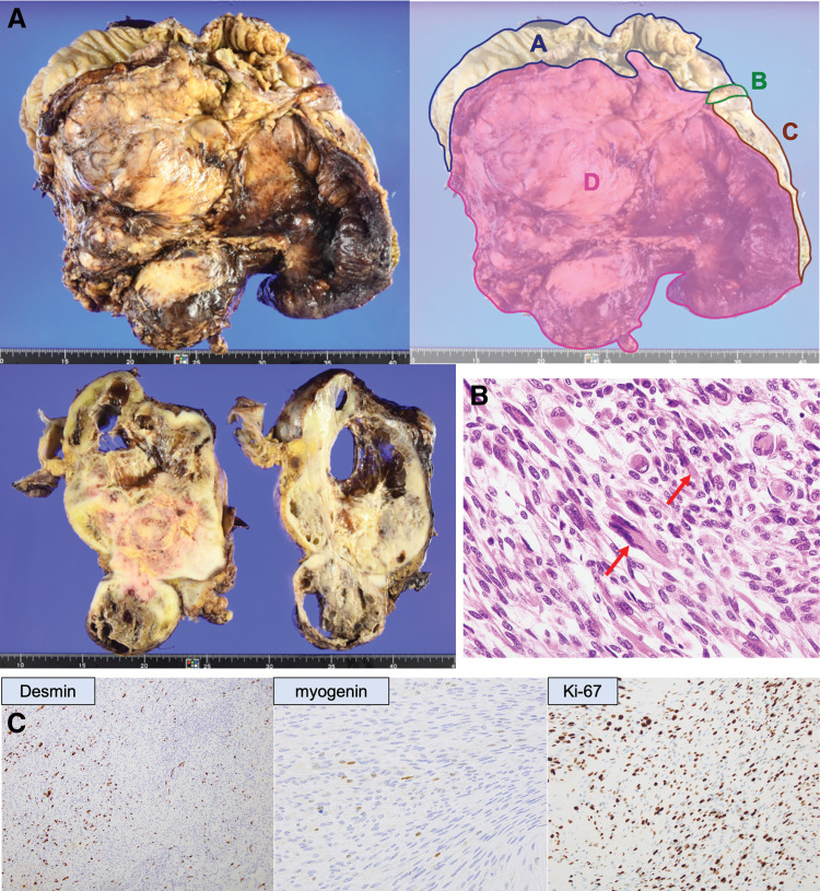 Fig. 4