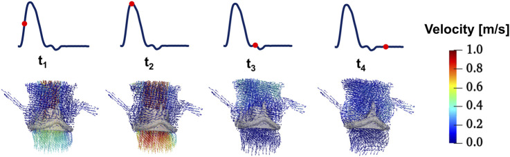 FIGURE 6