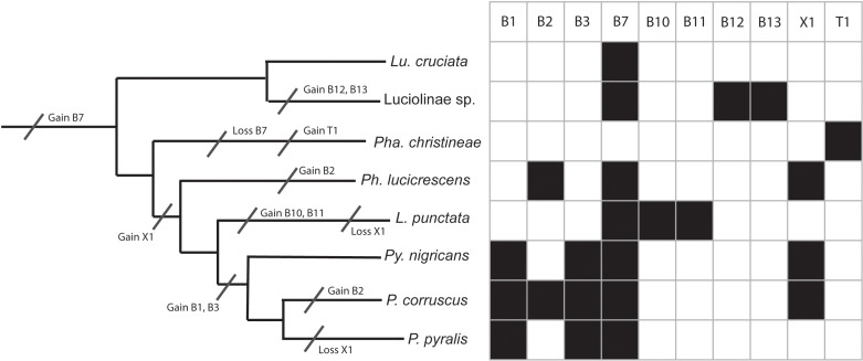 Fig 6