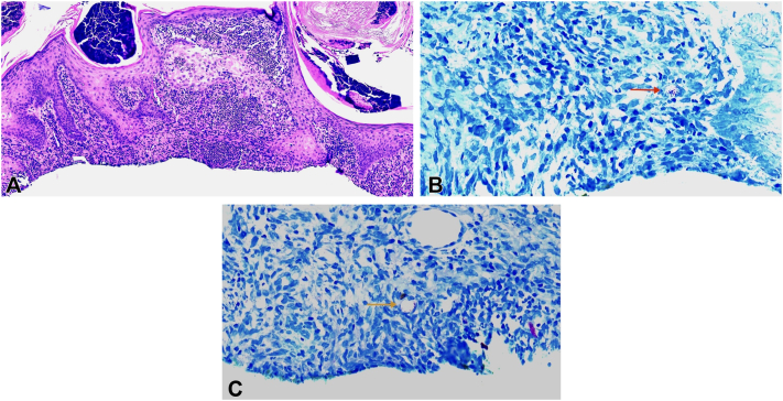 Figure 2