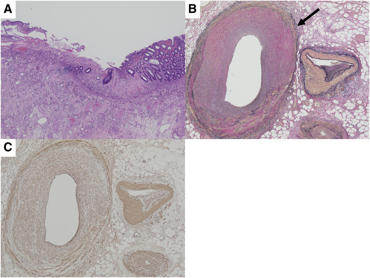 Fig. 5