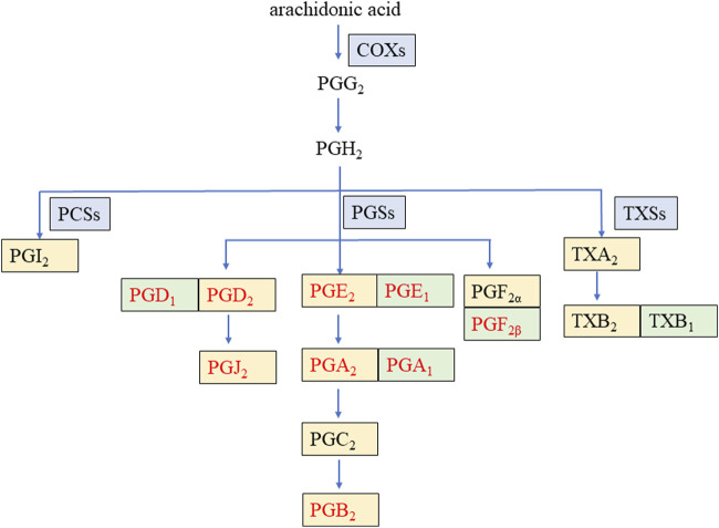 FIGURE 1