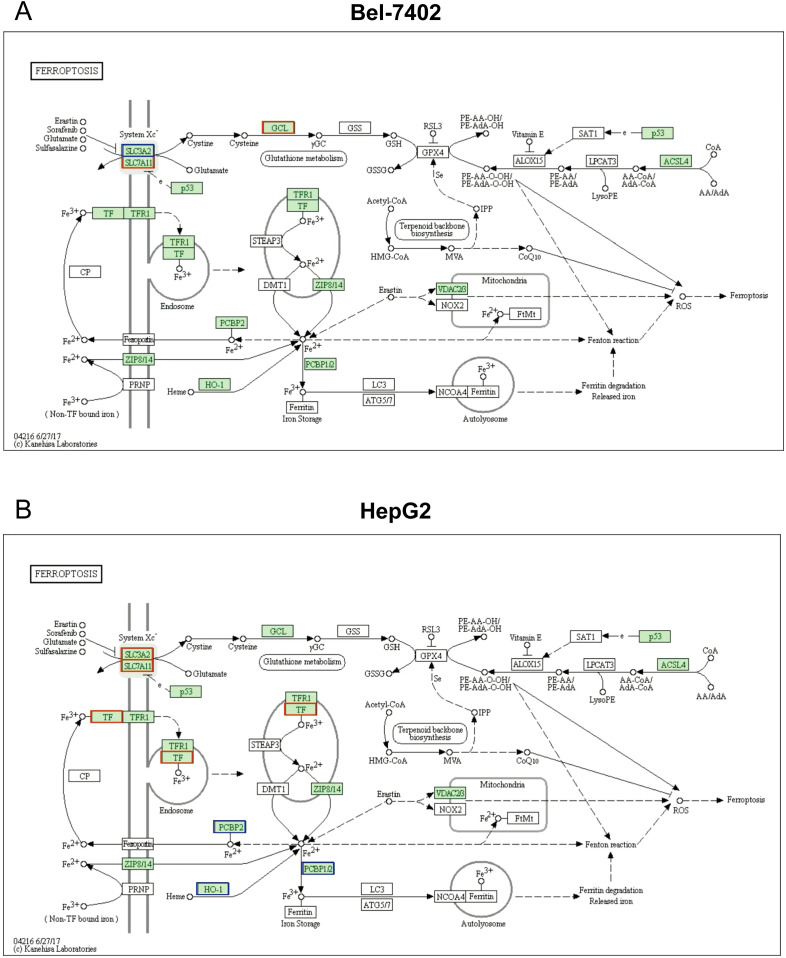 Figure 4