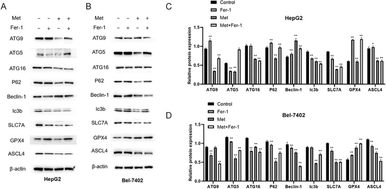 Figure 6