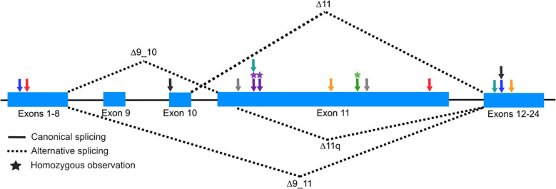 Figure 1