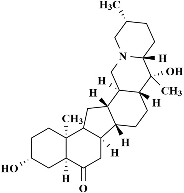 FIGURE 1