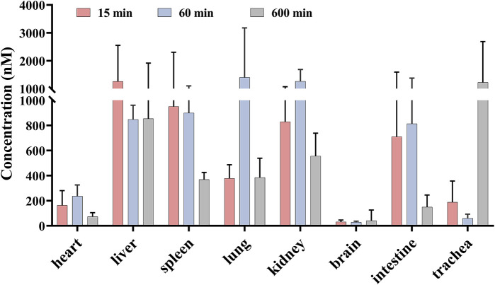 FIGURE 3
