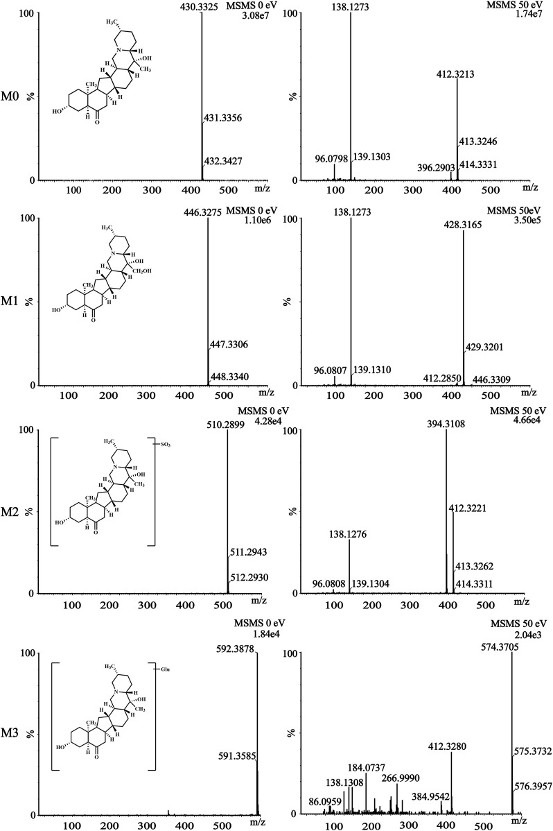 FIGURE 4
