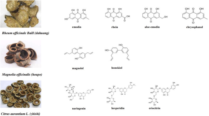 FIGURE 1