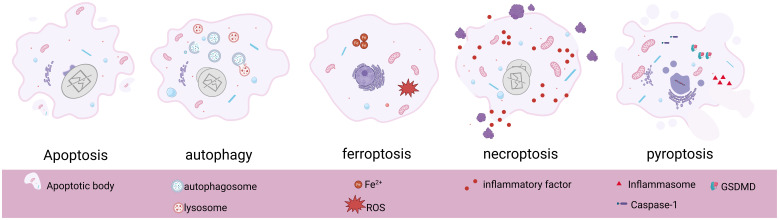 Figure 1