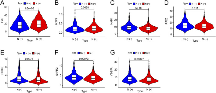 FIGURE 6