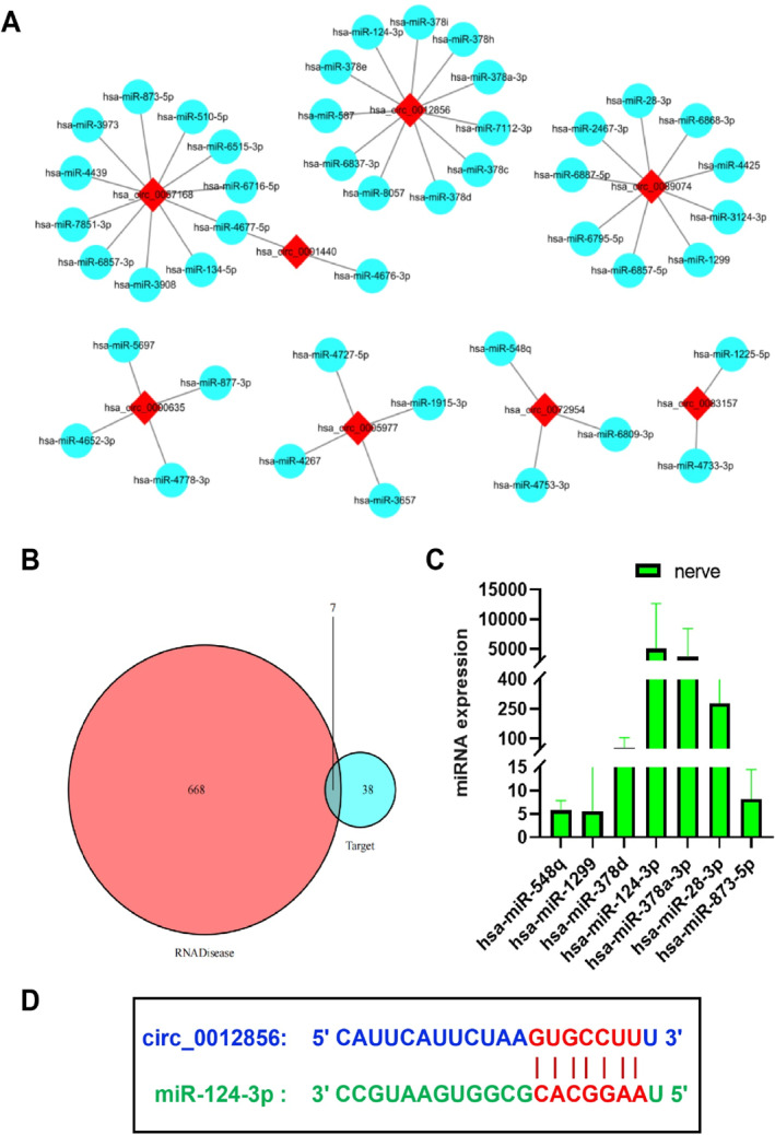 FIGURE 3