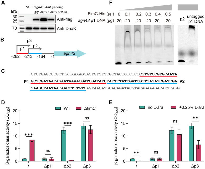 Figure 4