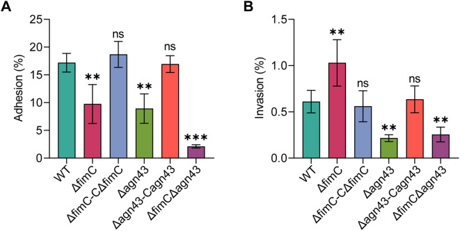 Figure 6