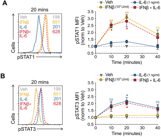 Figure 3