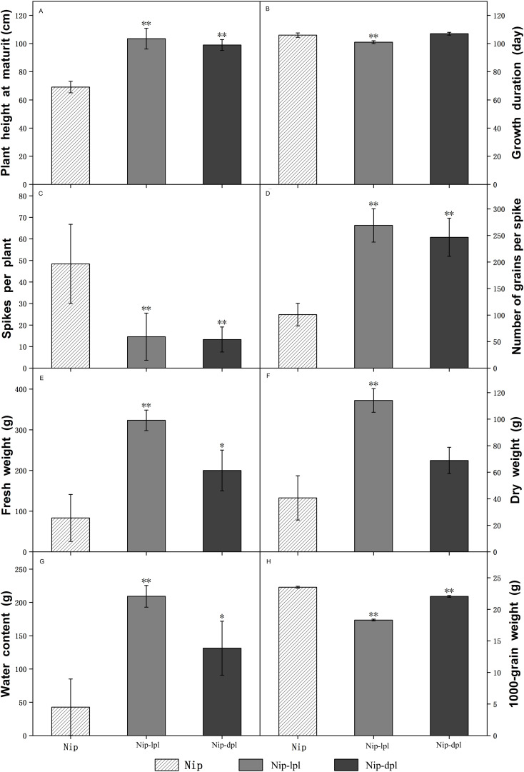 Figure 3