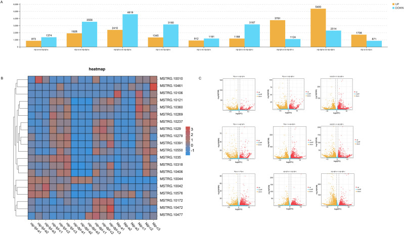 Figure 4