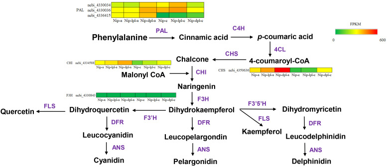 Figure 7
