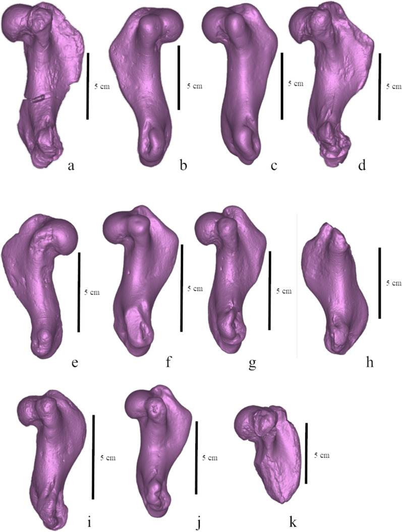 Fig. 10