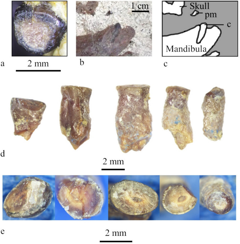 Fig. 5
