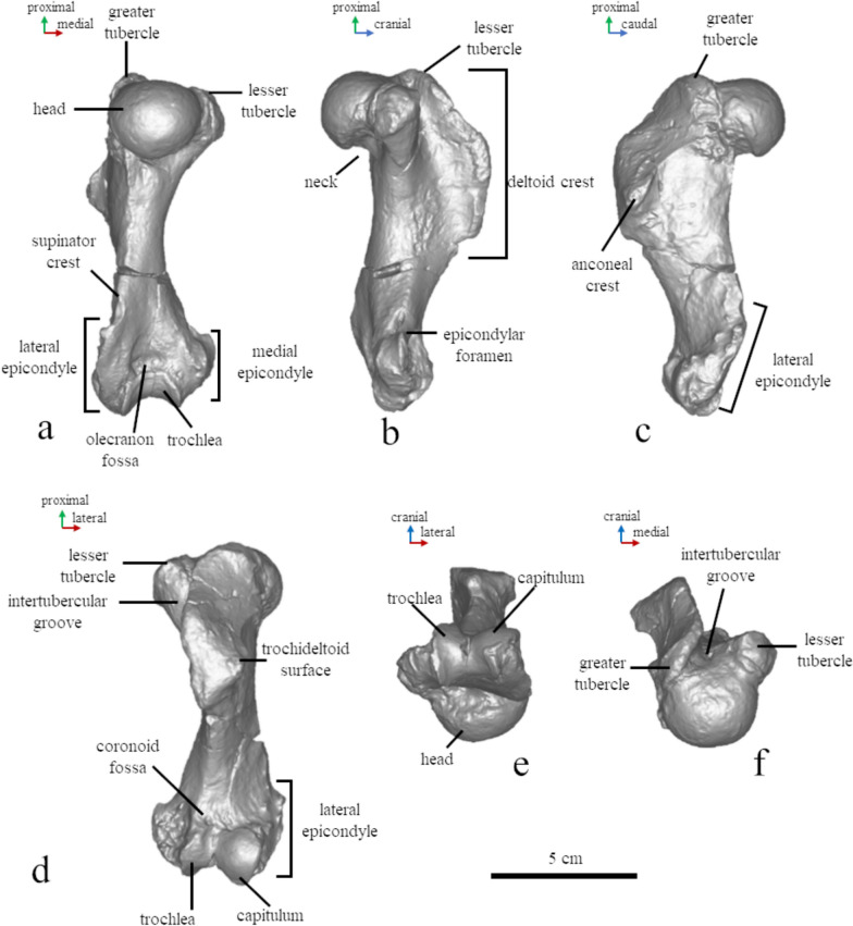 Fig. 8