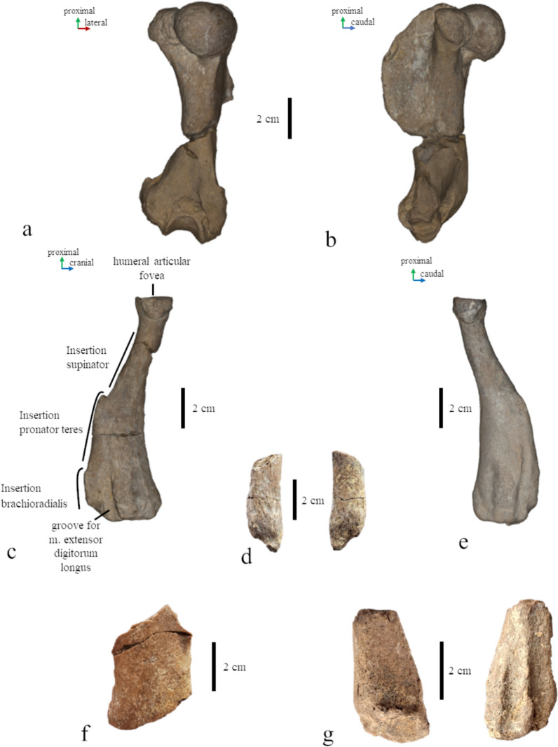 Fig. 9