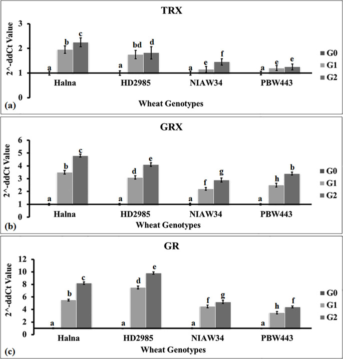 Figure 3