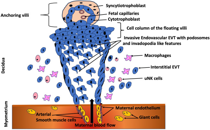 Figure 2