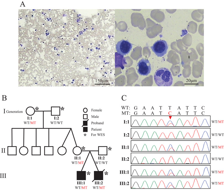 FIGURE 1