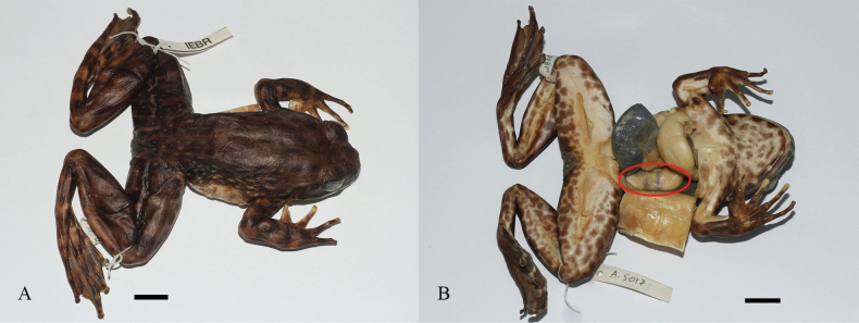 Figure 14