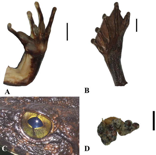 Figure 18